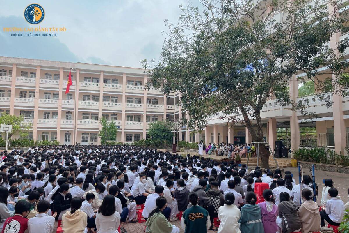 caodangtaydo.edu.vn_ hoạt động hướng nghiệp cuối cấp