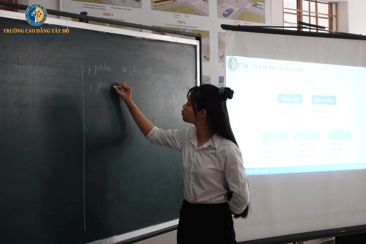 Năm 2024, nên học cao đẳng hay học đại học?