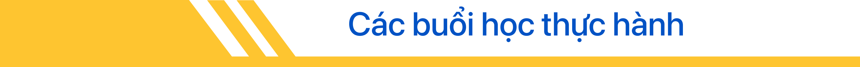 Tuyển sinh 2026