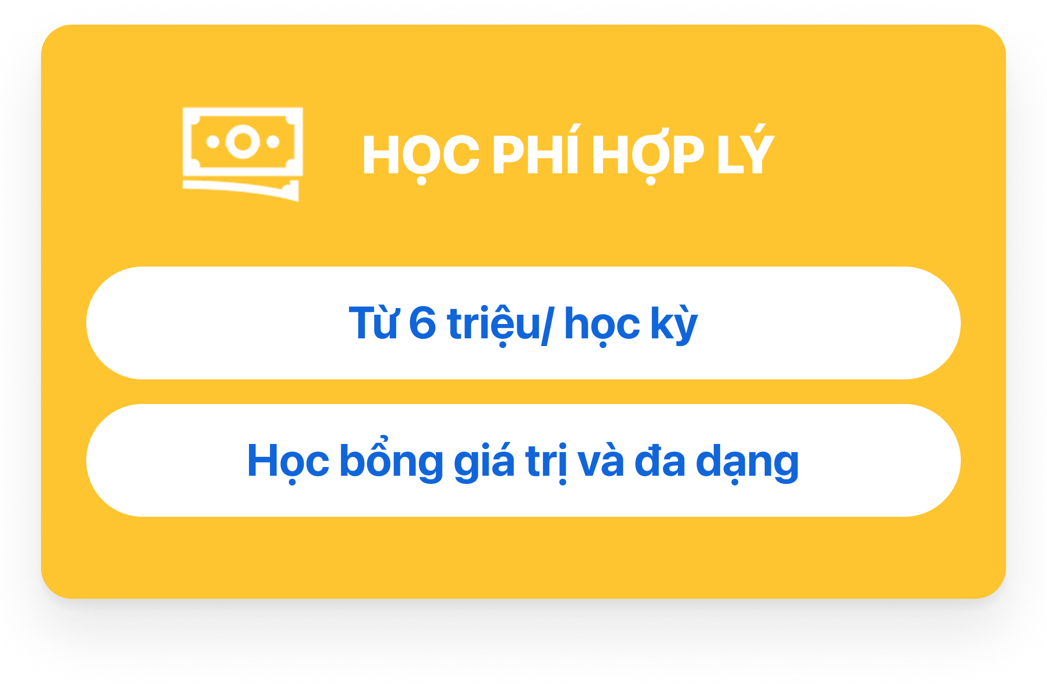 Trường Cao Đẳng T&acirc;y Đ&ocirc; – Tay Do College (TDC) – Trang chủ mới