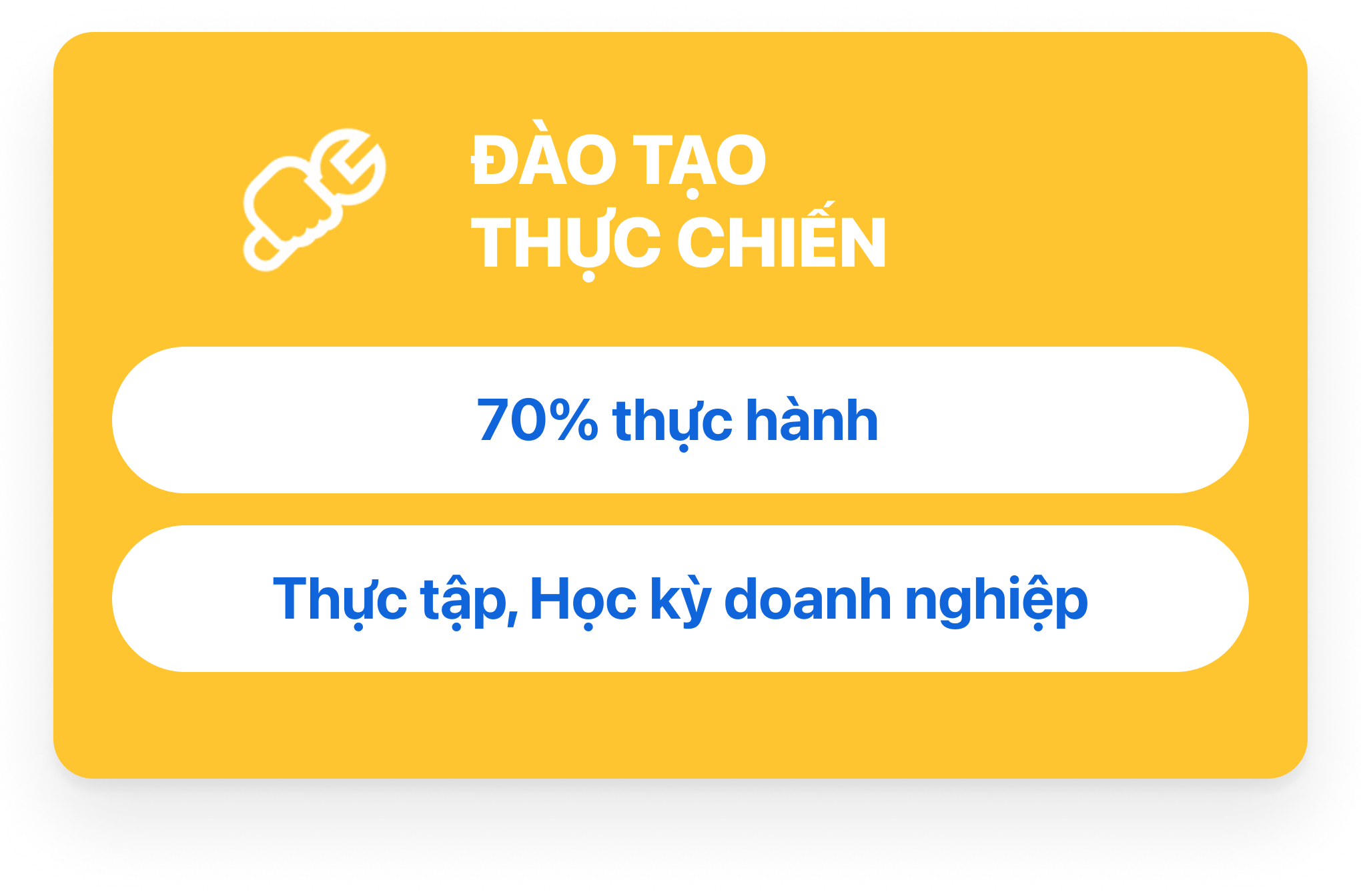 Trường Cao Đẳng T&acirc;y Đ&ocirc; – Tay Do College (TDC) – Trang chủ mới