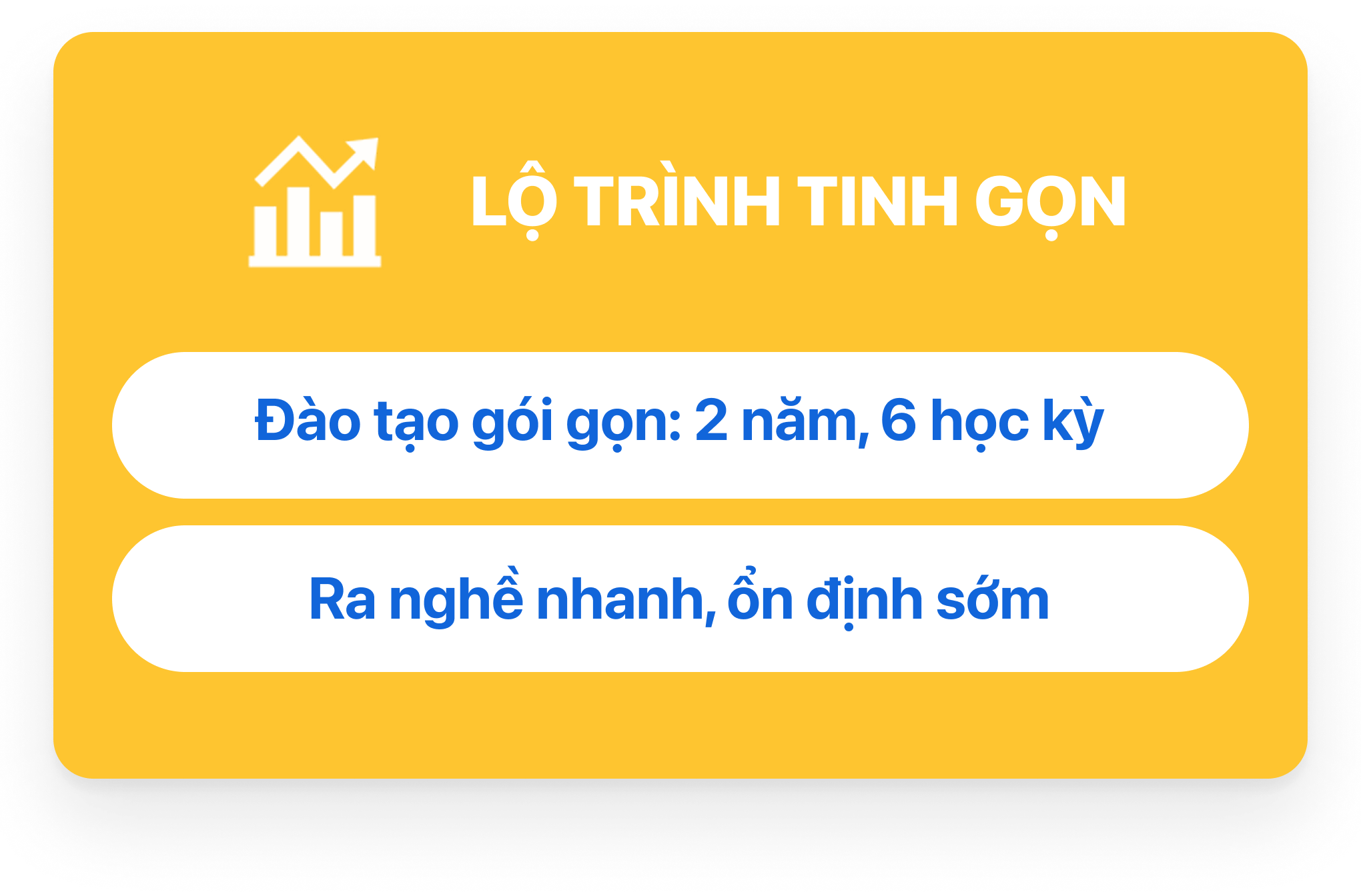 Trường Cao Đẳng T&acirc;y Đ&ocirc; – Tay Do College (TDC) – Trang chủ mới