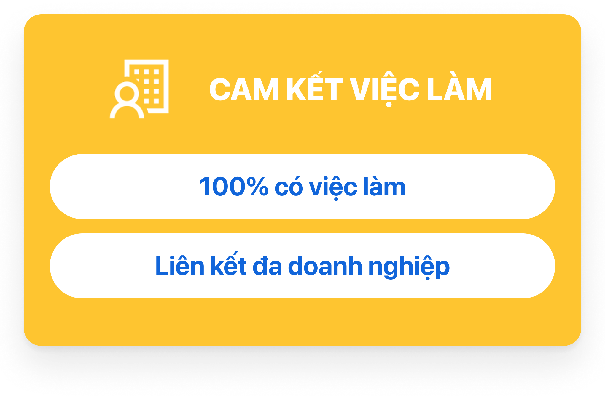 Trường Cao Đẳng T&acirc;y Đ&ocirc; – Tay Do College (TDC) – Trang chủ mới