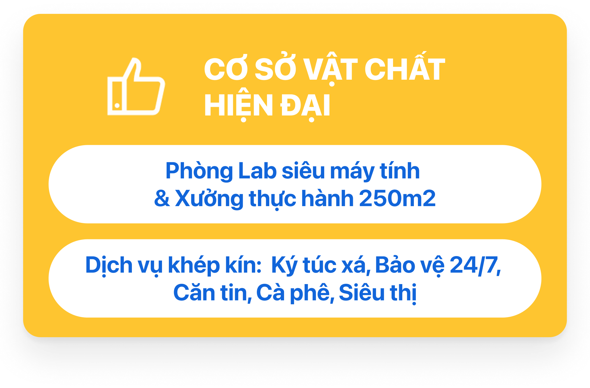 Trường Cao Đẳng T&acirc;y Đ&ocirc; – Tay Do College (TDC) – Trang chủ mới