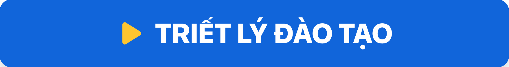 Trường Cao Đẳng T&acirc;y Đ&ocirc; – Tay Do College (TDC) – Trang chủ mới