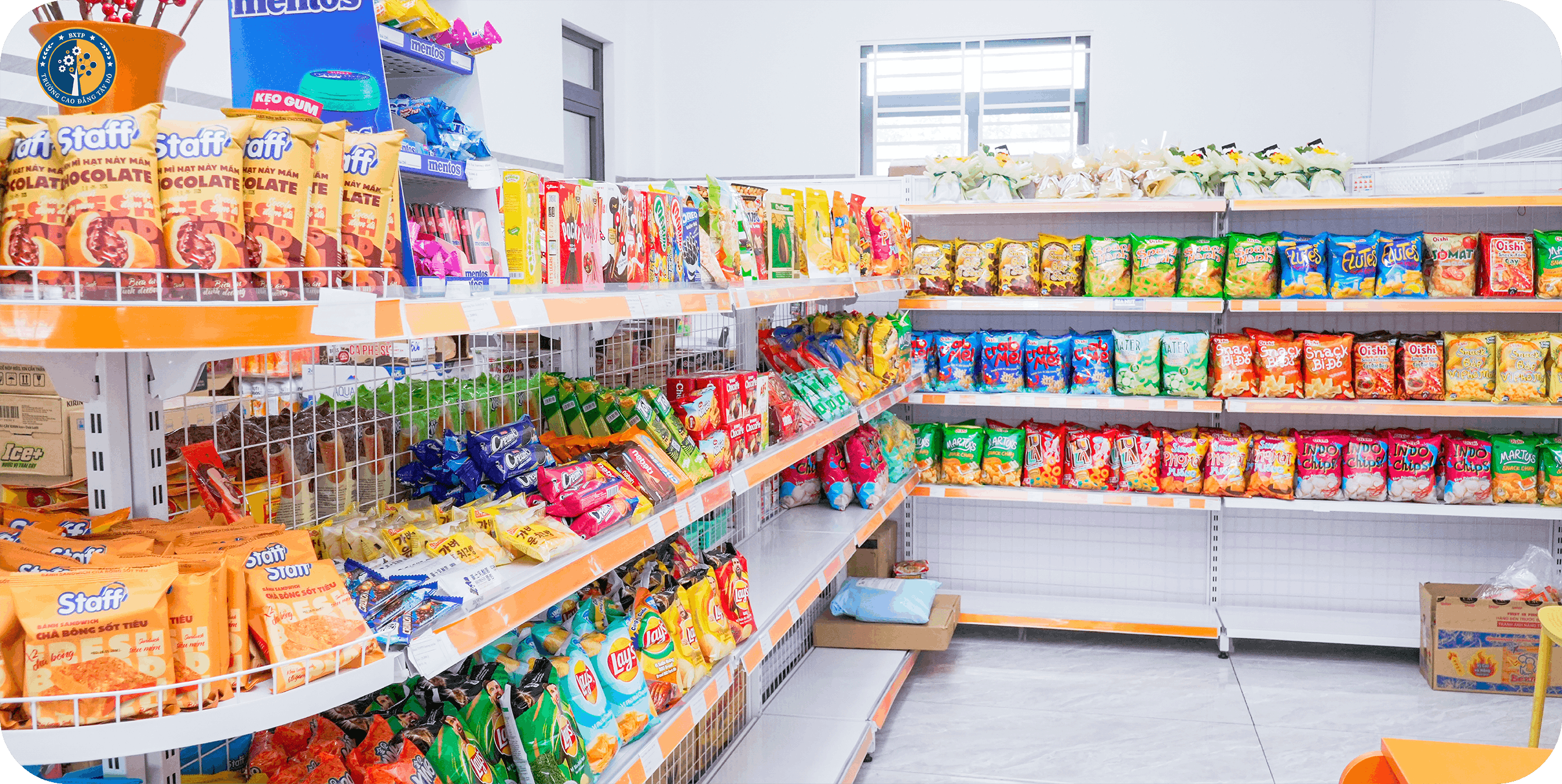 Trường Cao Đẳng Tây Đô – Tay Do College (TDC) – Trang chủ mới