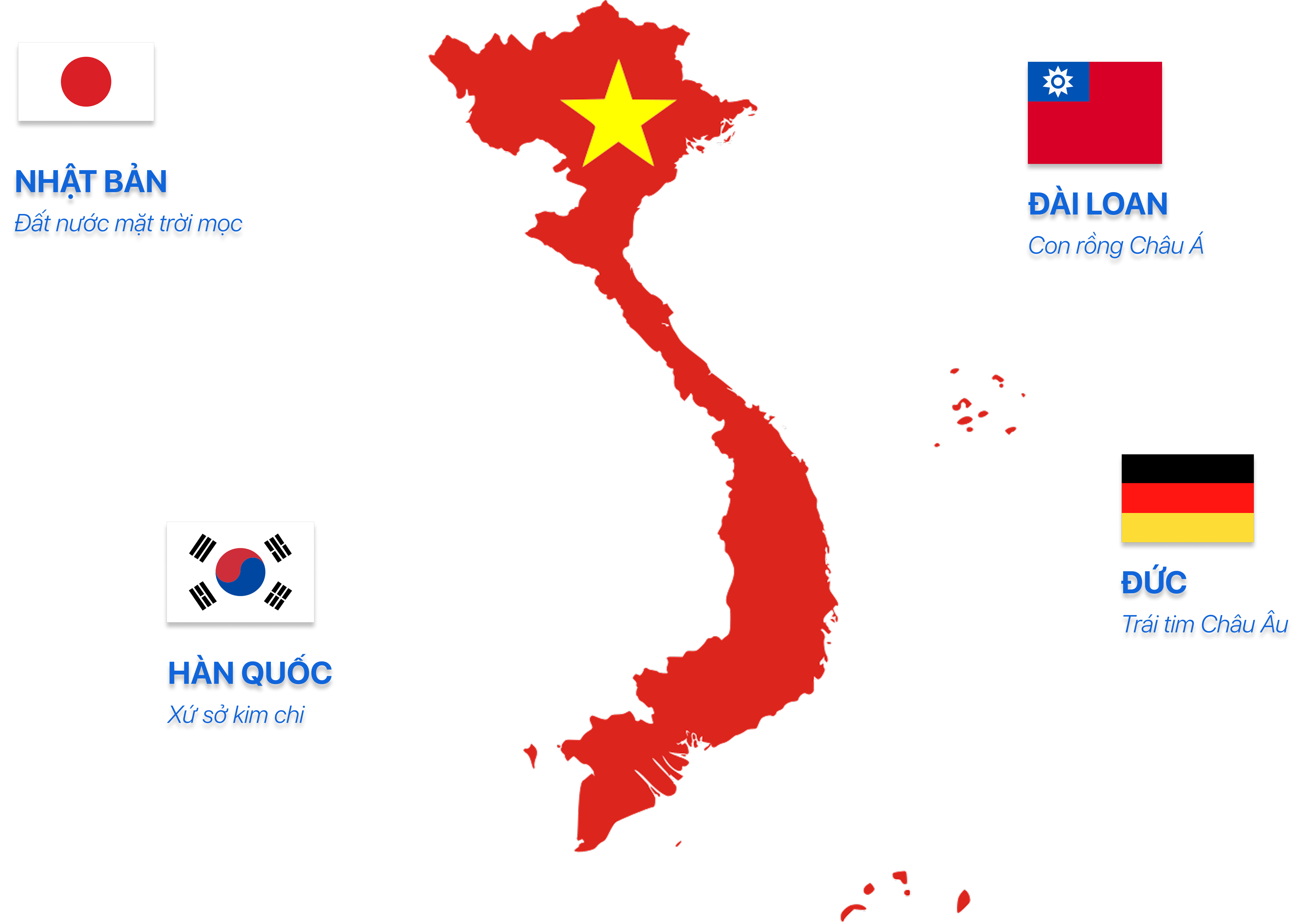 CAO ĐẲNG 9+ Mới
