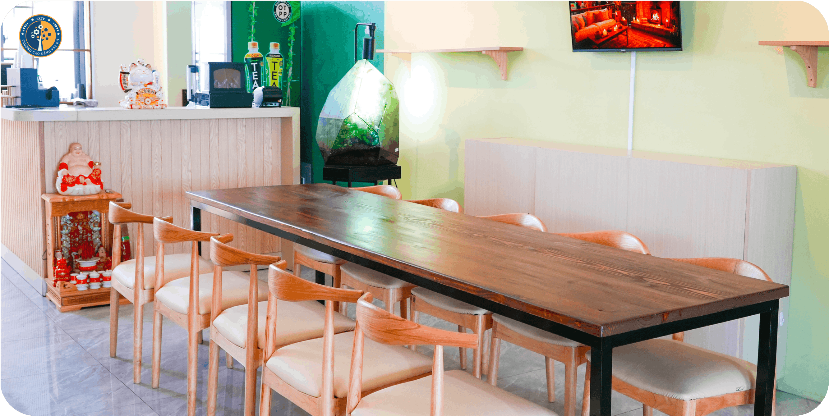 Trường Cao Đẳng T&acirc;y Đ&ocirc; – Tay Do College (TDC) – Trang chủ mới