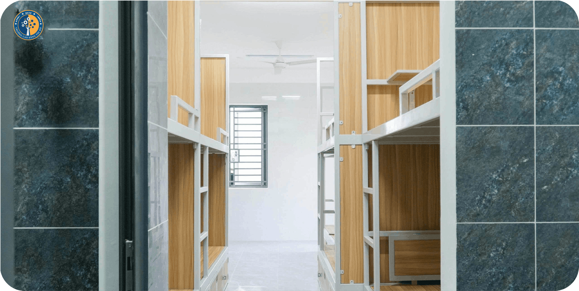 Trường Cao Đẳng T&acirc;y Đ&ocirc; – Tay Do College (TDC) – Trang chủ mới
