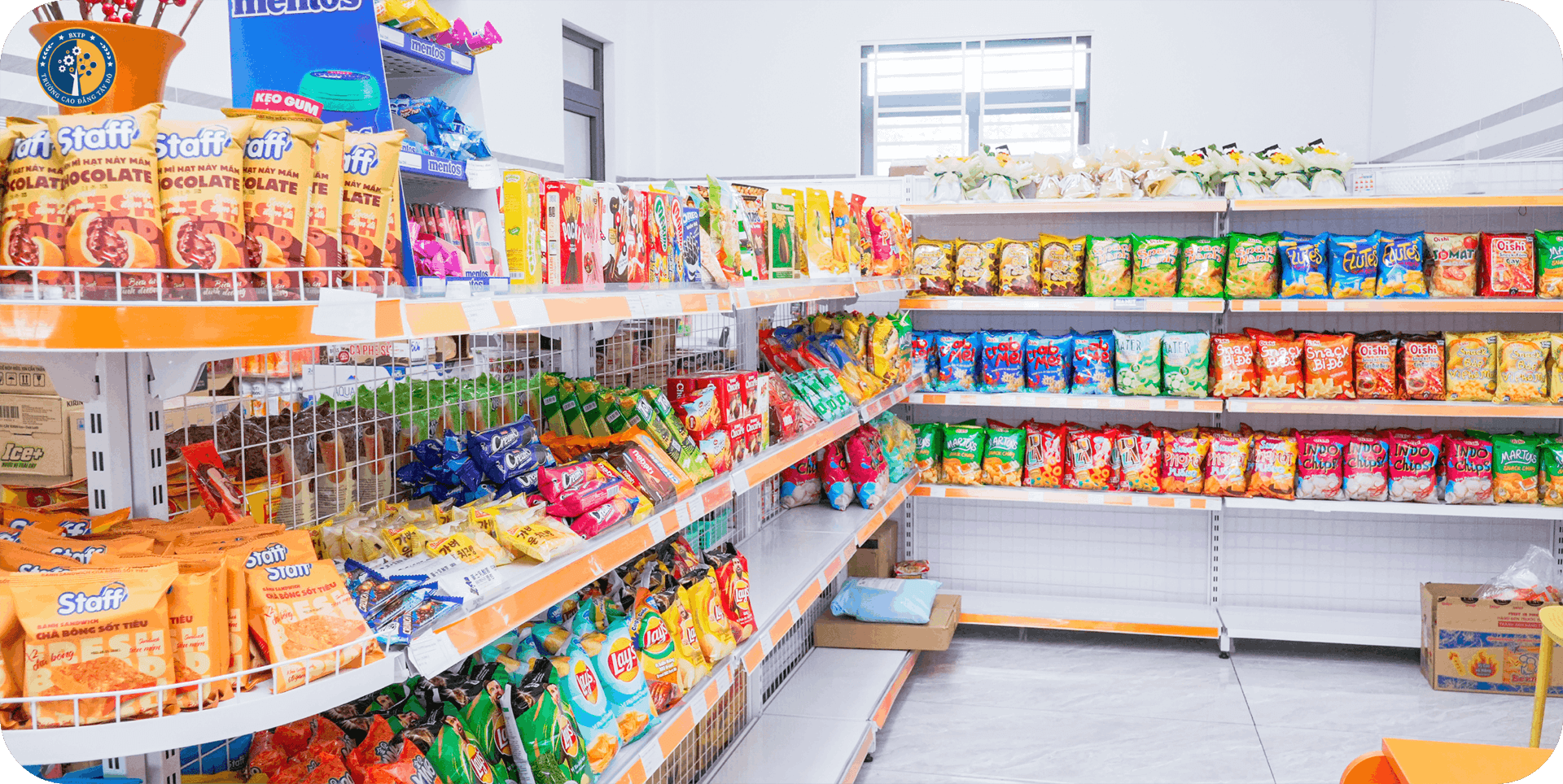 Trường Cao Đẳng T&acirc;y Đ&ocirc; – Tay Do College (TDC) – Trang chủ mới