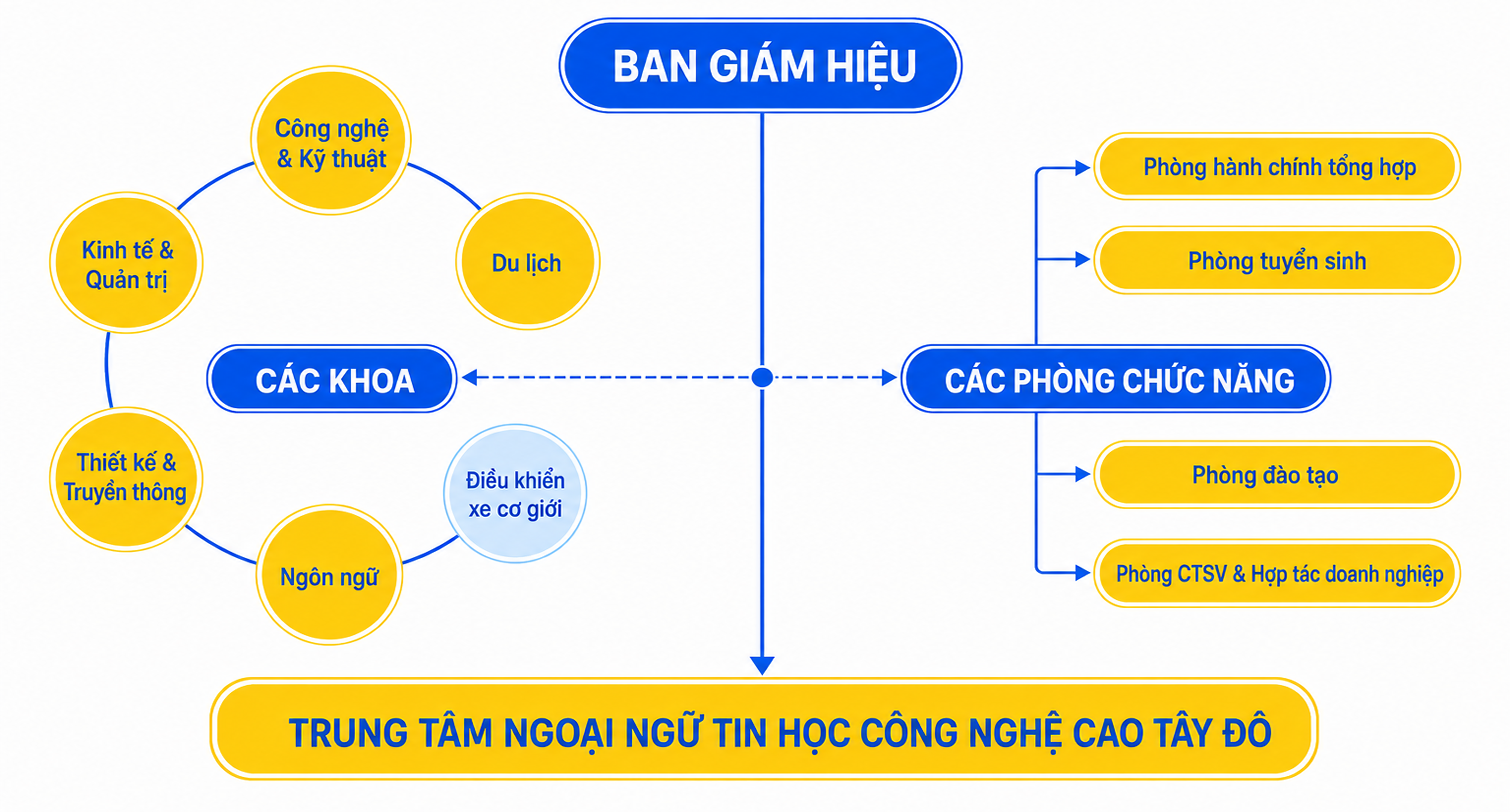 Cơ cấu trường