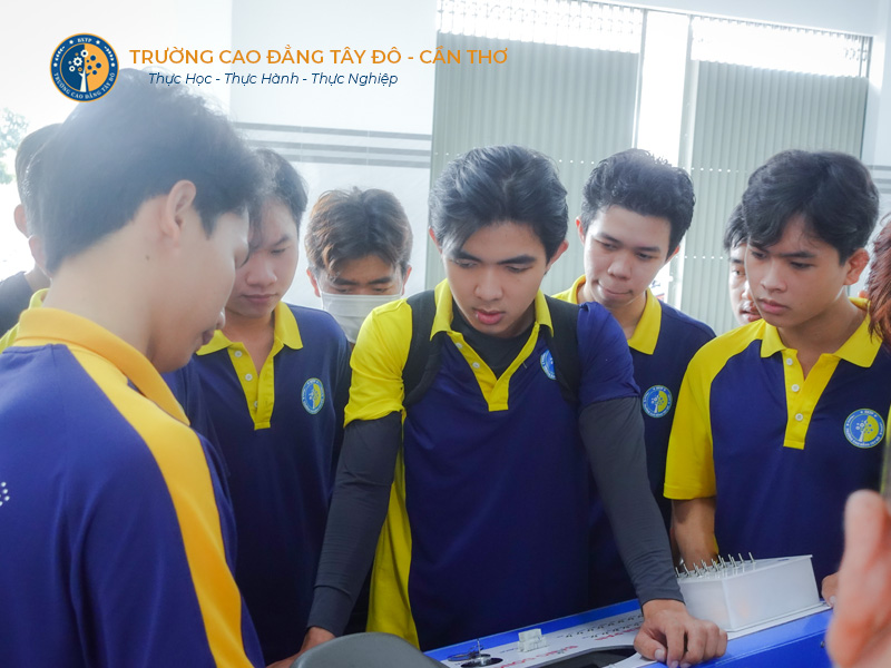 Xin Việc Ngành Công Nghệ Ô Tô Tại Cần Thơ