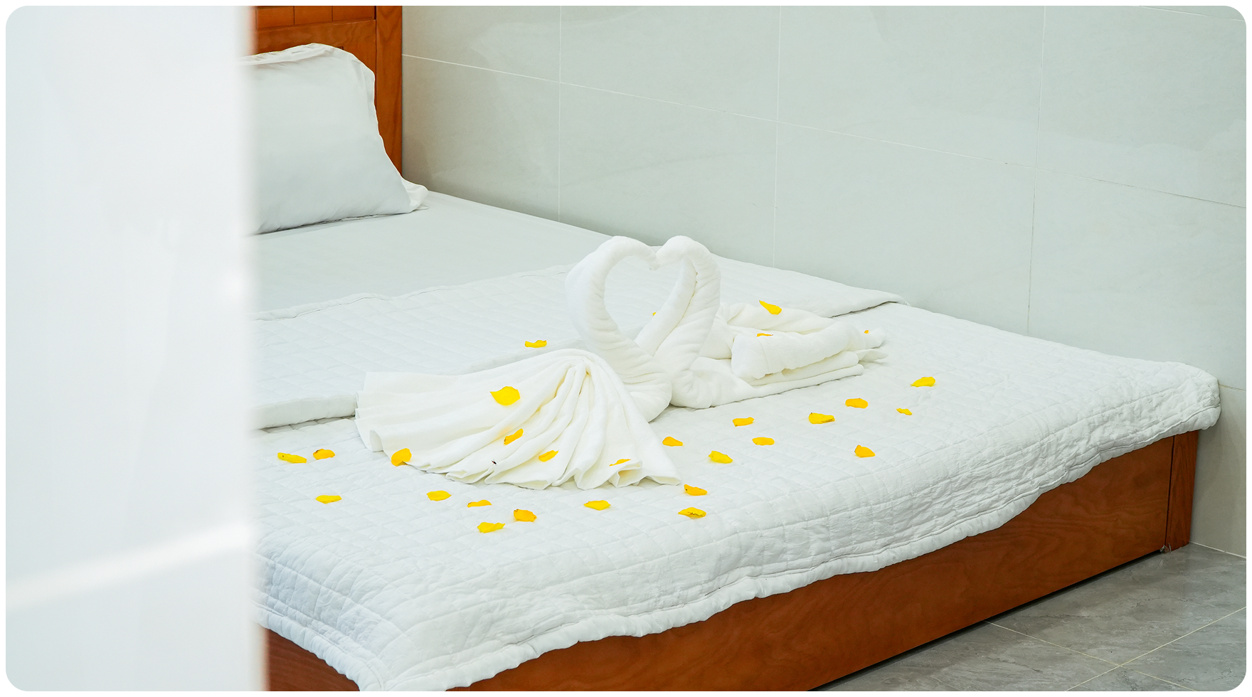 Trường Cao Đẳng T&acirc;y Đ&ocirc; – Tay Do College (TDC) – Trang chủ mới