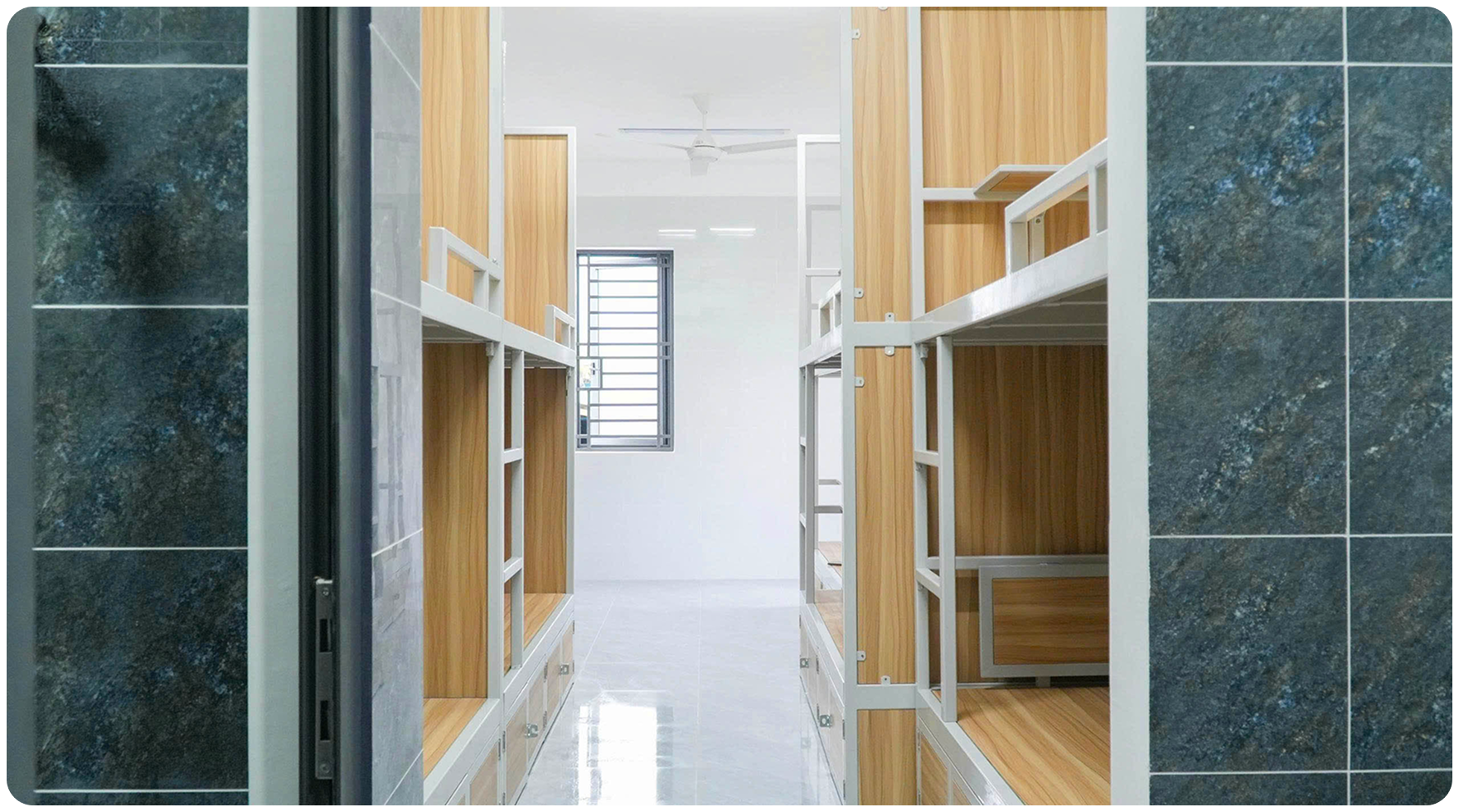 Trường Cao Đẳng T&acirc;y Đ&ocirc; – Tay Do College (TDC) – Trang chủ mới