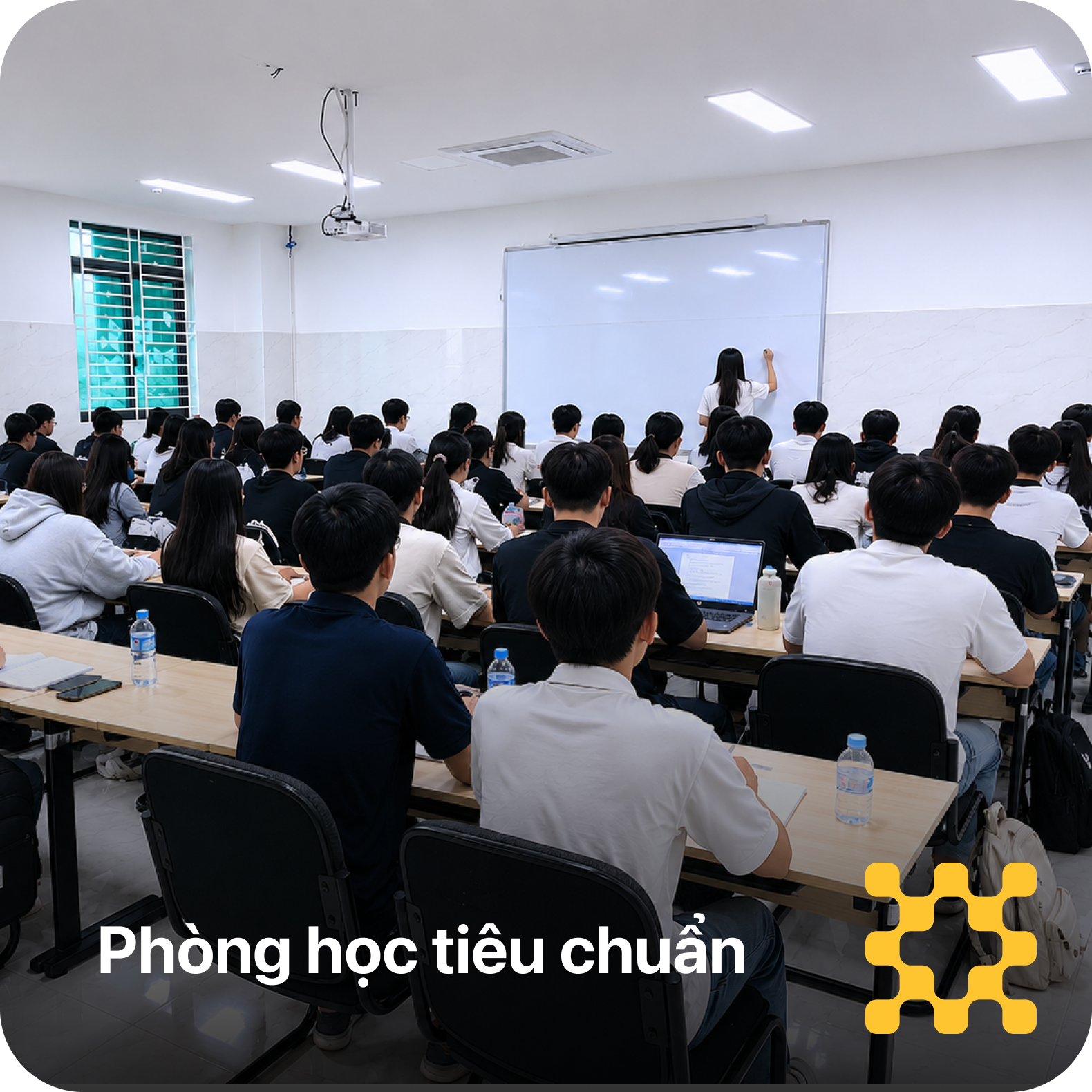 Hoạt động sinh vi&ecirc;n