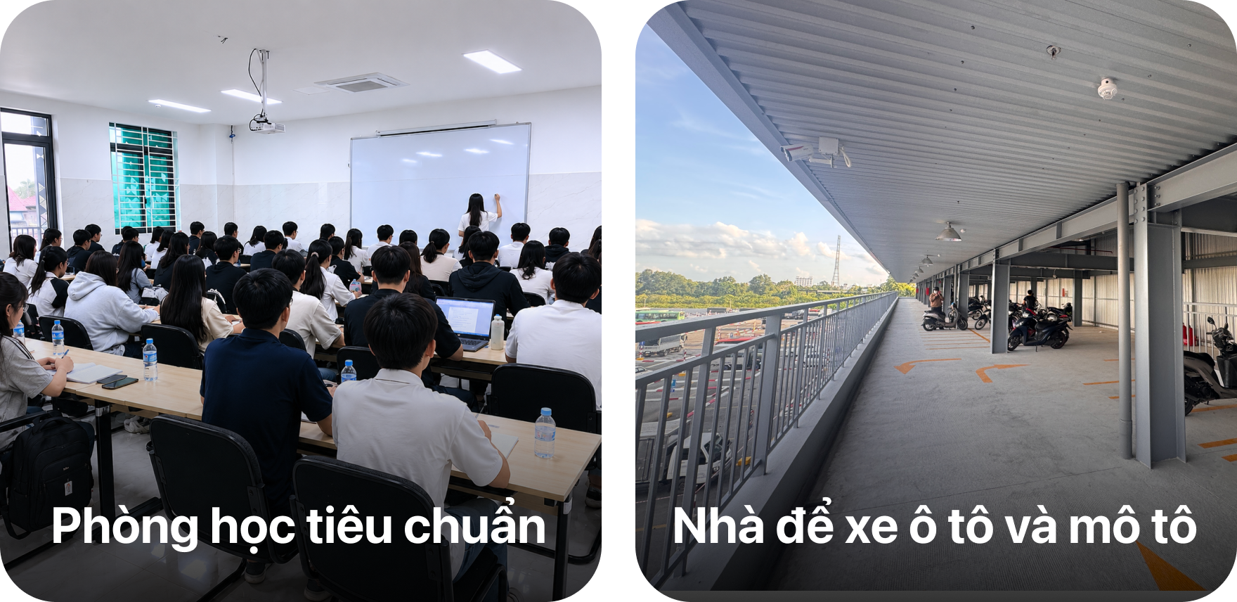 Hoạt động sinh vi&ecirc;n