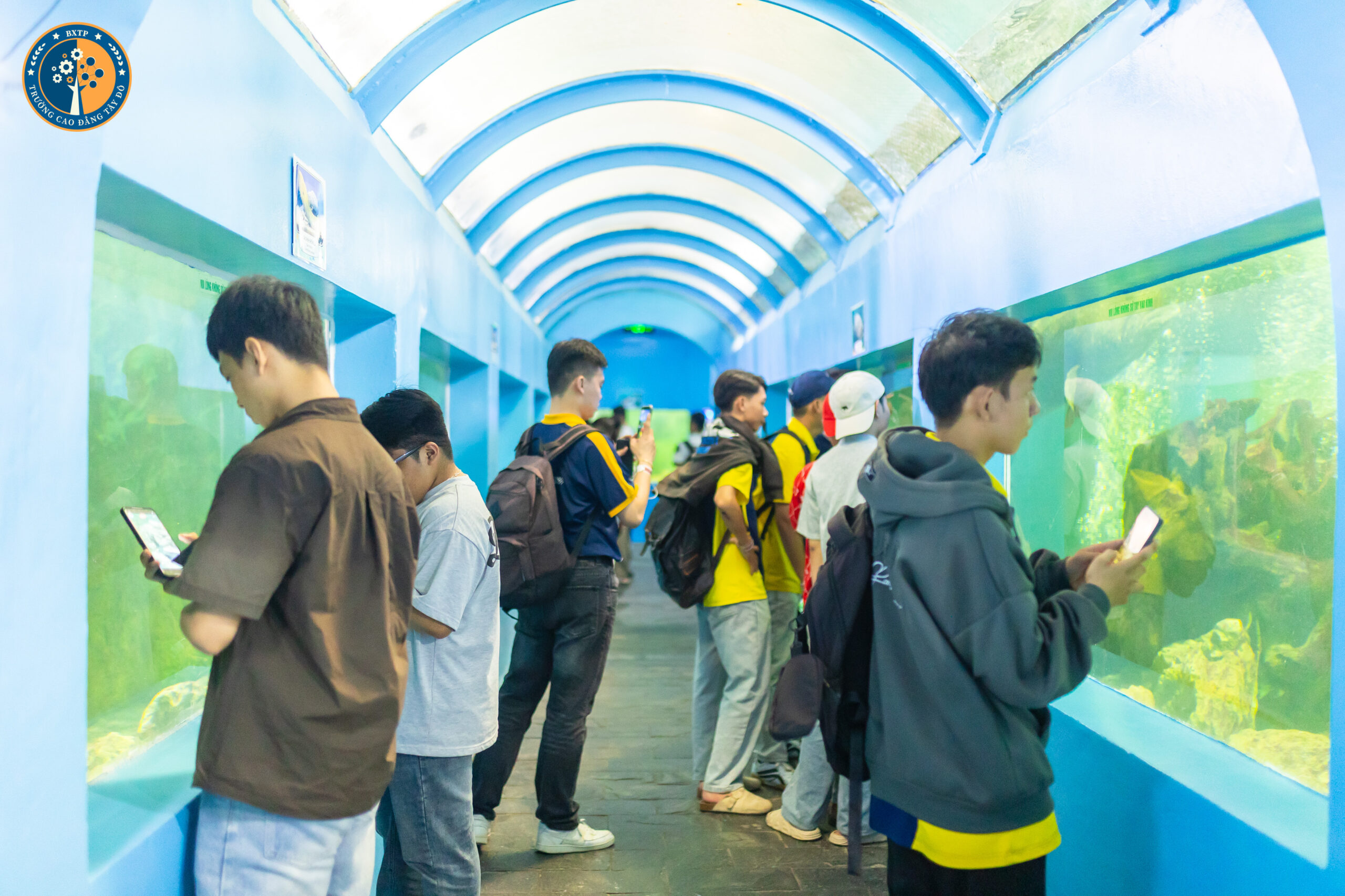 Sinh vi&ecirc;n Cao đẳng T&acirc;y Đ&ocirc; tham quan, học tập tại Đầm Sen