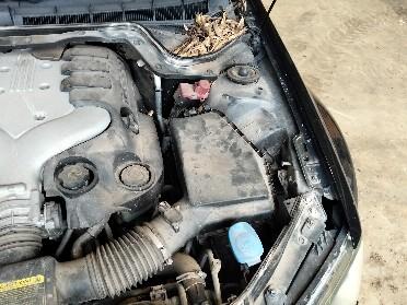 2009 Holden Commodore Engine View Auto part Engine Holden Commodore 2009