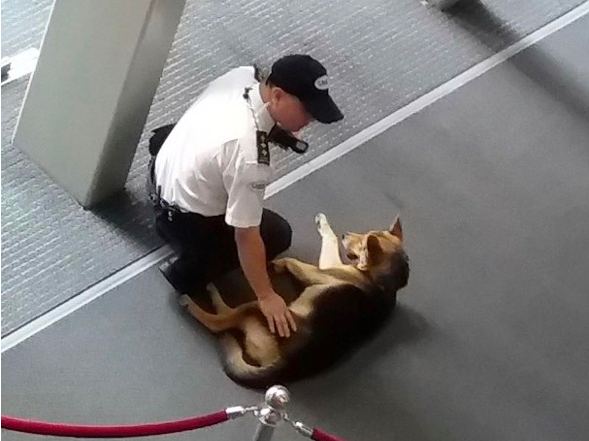 Appreciation for Staff's Kindness