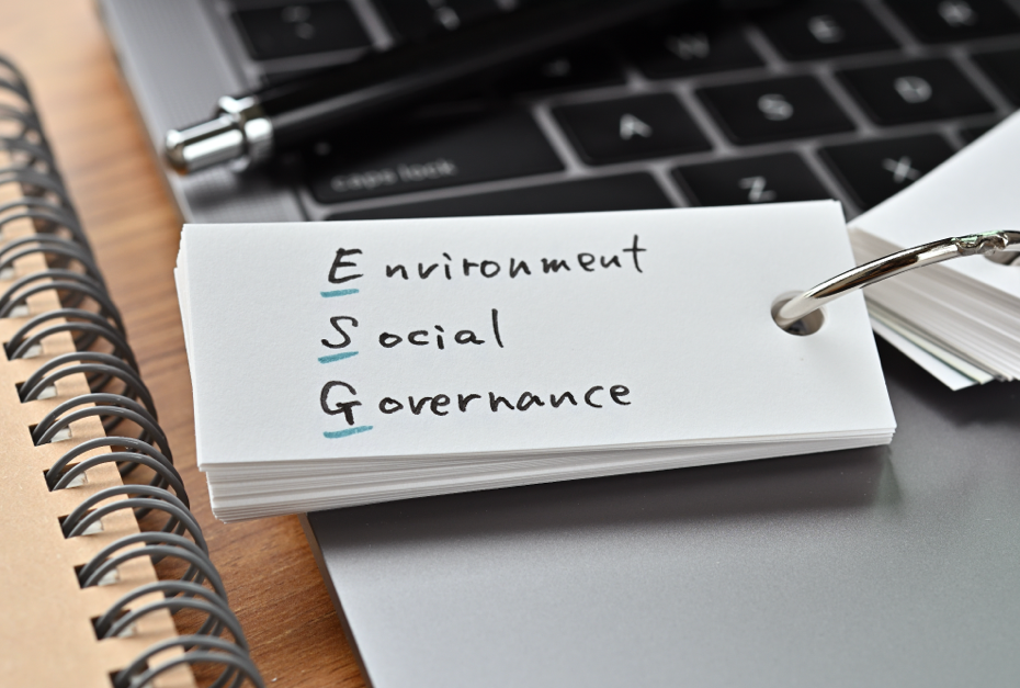 ESG Framework