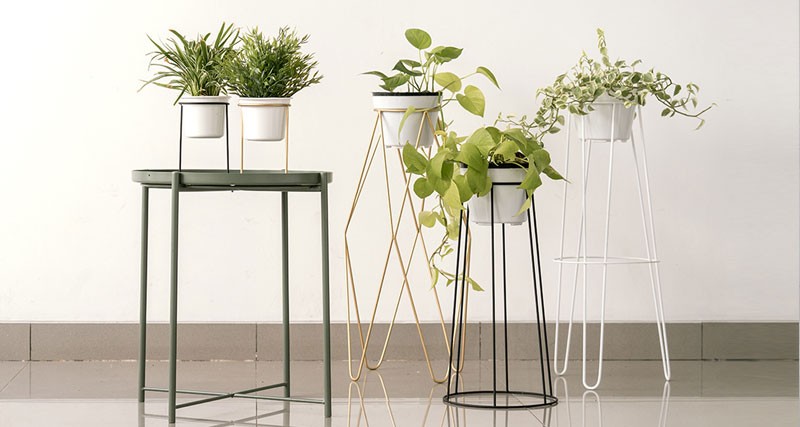 Planters Planters