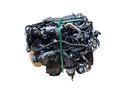 View Auto part Engine Ford Everest 2016