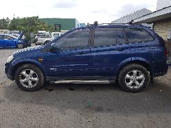 View Auto part Left Indicator/Fog/Side Ssangyong Kyron 2007
