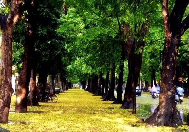 Đừng Ghé Thăm Mùa Thu Hà Nội Nếu Bạn Không Muốn Bị ”Say