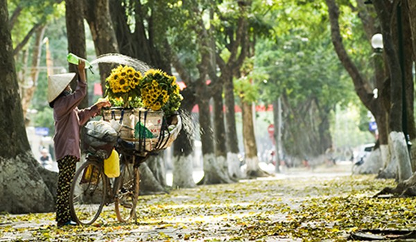 Đừng Ghé Thăm Mùa Thu Hà Nội Nếu Bạn Không Muốn Bị ”Say