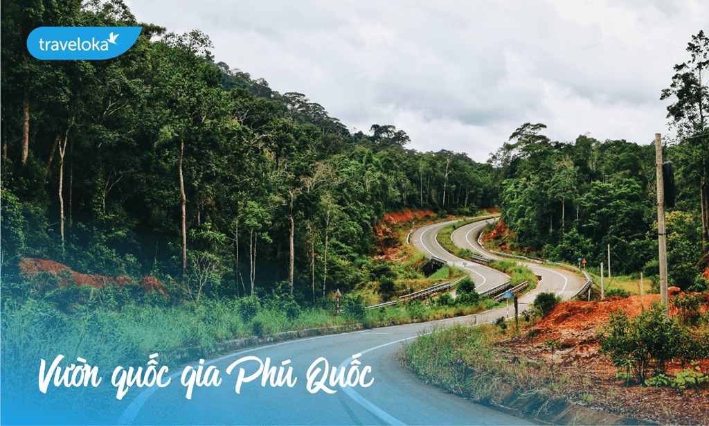 Khám phá đảo ngọc với tuyển tập kinh nghiệm đi Phú Quốc từ A - Z