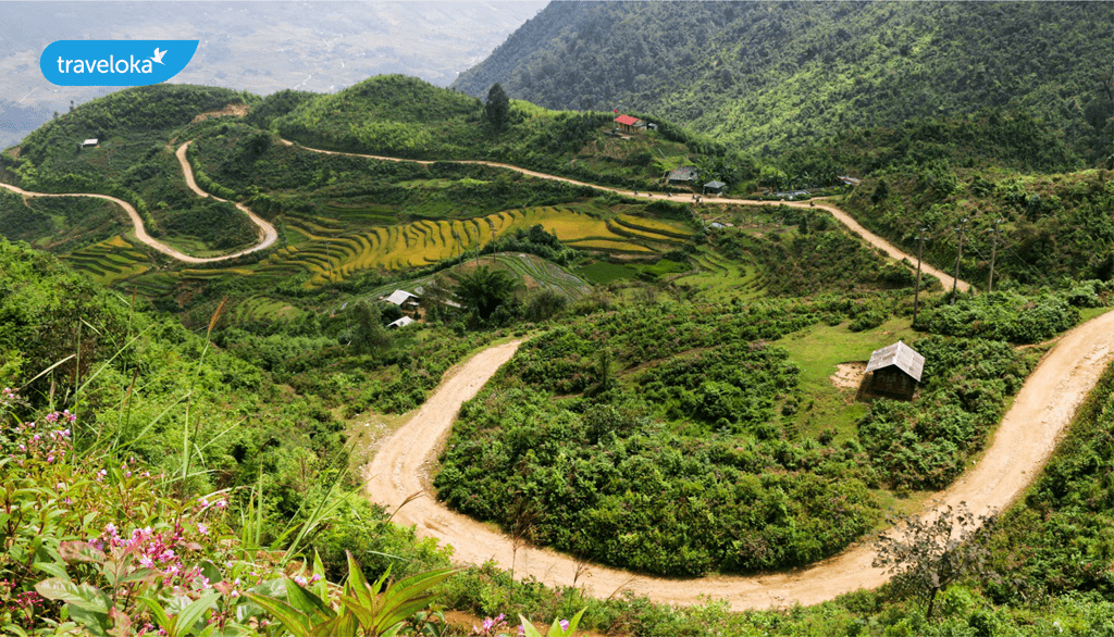 Bỏ Túi Kinh Nghiệm Du Lịch Sapa Tự Túc Và Cùng Lên Đường