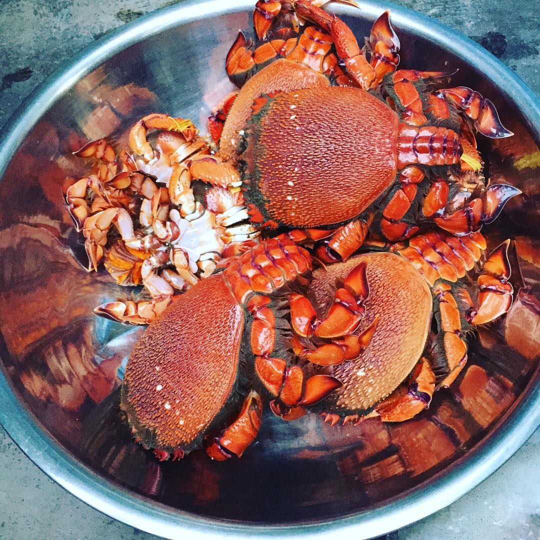 Bắt Sóng 20 Địa Danh Du Lịch Nóng Bỏng Tay Cần Phải Đi Trong Năm 2017 (Phần 1) 10