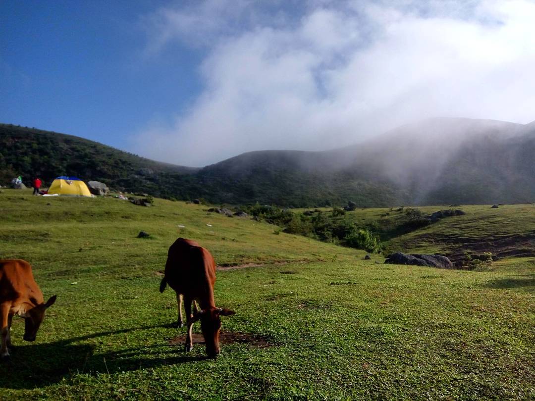 Bắt Sóng 20 Địa Điểm Du Lịch Việt Nam Nóng Bỏng Tay Đầu Năm 2017 (Phần 2) 9