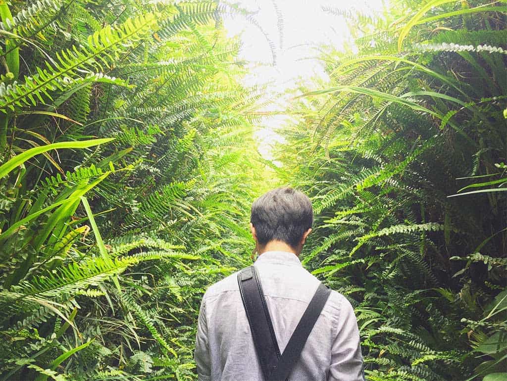 Du lịch Hội An Đà Nẵng: Ngày mình đi cùng nhau ấy là ngày đẹp trời - Traveloka Golocal 