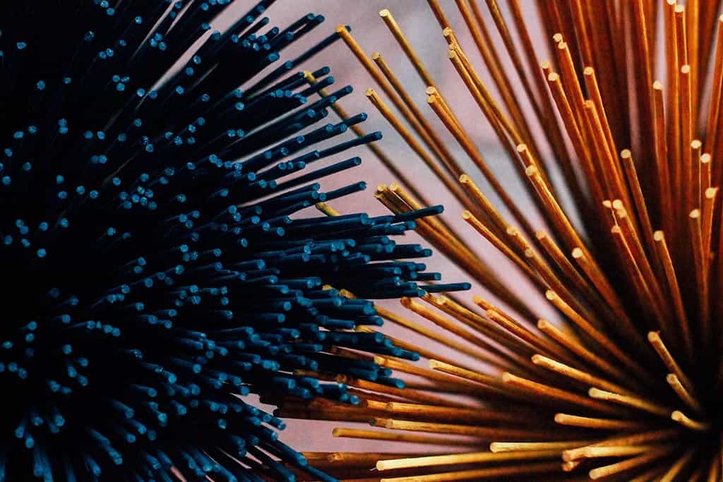 Cảm nhận nét bình dị của Tết Hà Nội trong buổi sớm tinh khôi - Traveloka Golocal 