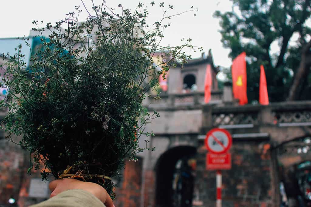 Cảm nhận nét bình dị của Tết Hà Nội trong buổi sớm tinh khôi - Traveloka Golocal 