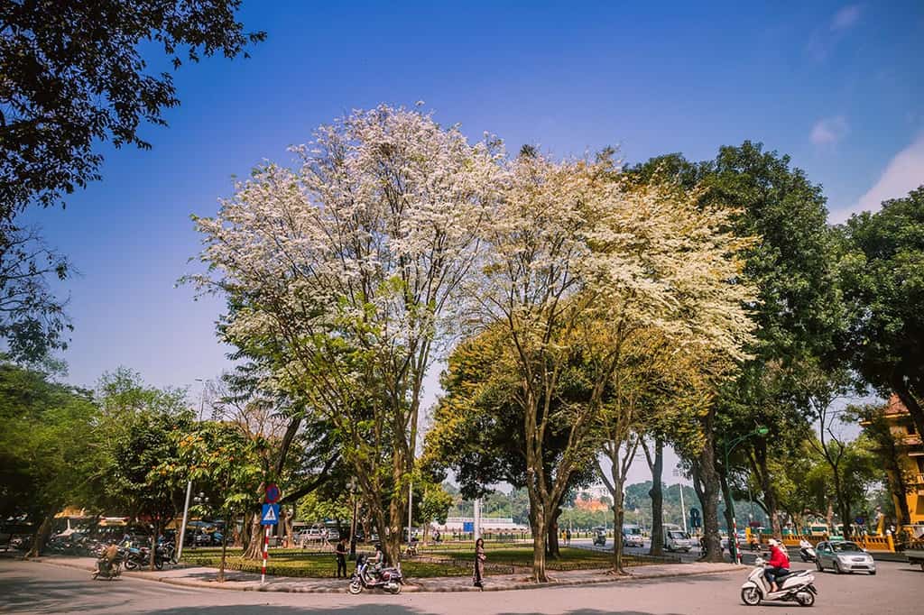 Du lịch Hà Nội tháng 3 để thấy một thủ đô dịu dàng với muôn sắc hoa - Traveloka Golocal 