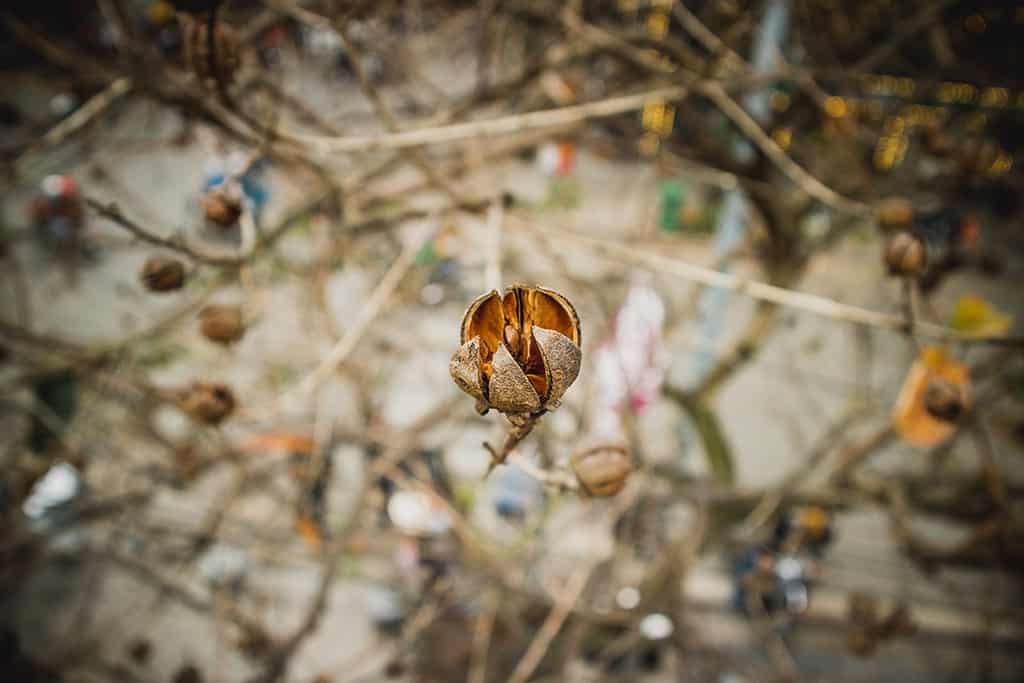 Đường sắt Hà Nội - địa điểm check-in cũ mà mới trong lòng thành phố - Traveloka Golocal 