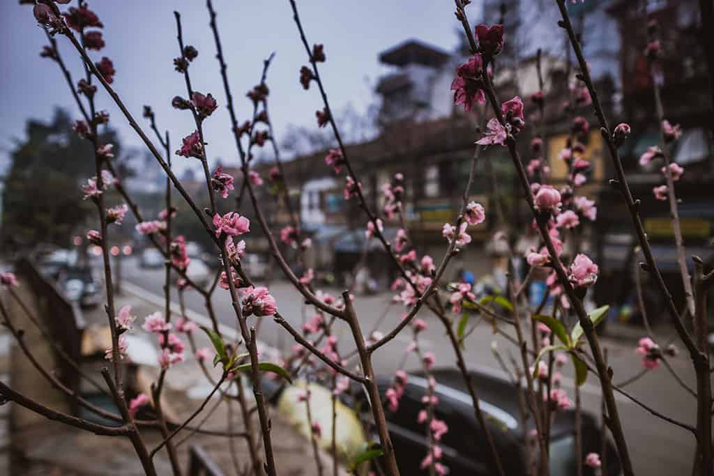 Đường sắt Hà Nội - địa điểm check-in cũ mà mới trong lòng thành phố - Traveloka Golocal 