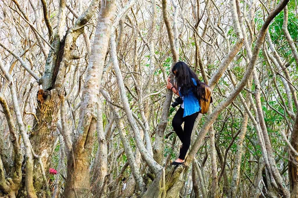 Đến Huế nên đi đâu? Đi check-in hết những điểm du lịch Huế này chứ đâu