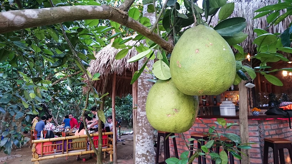 Làng Thủy Biều Huế - Du lịch Huế nên đi đâu?