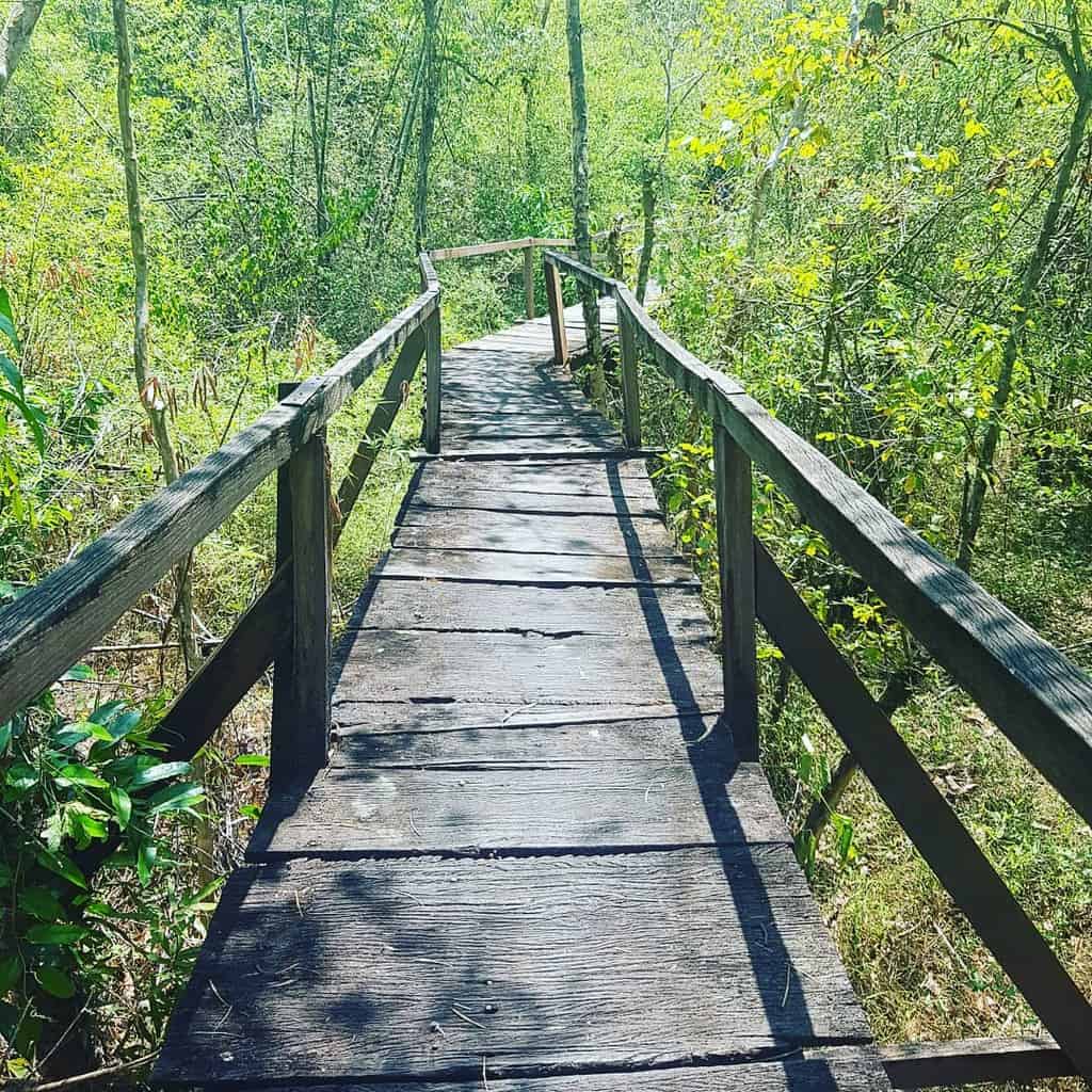 vườn quốc gia cúc phương-vườn quốc gia nam cát tiên đồng nai