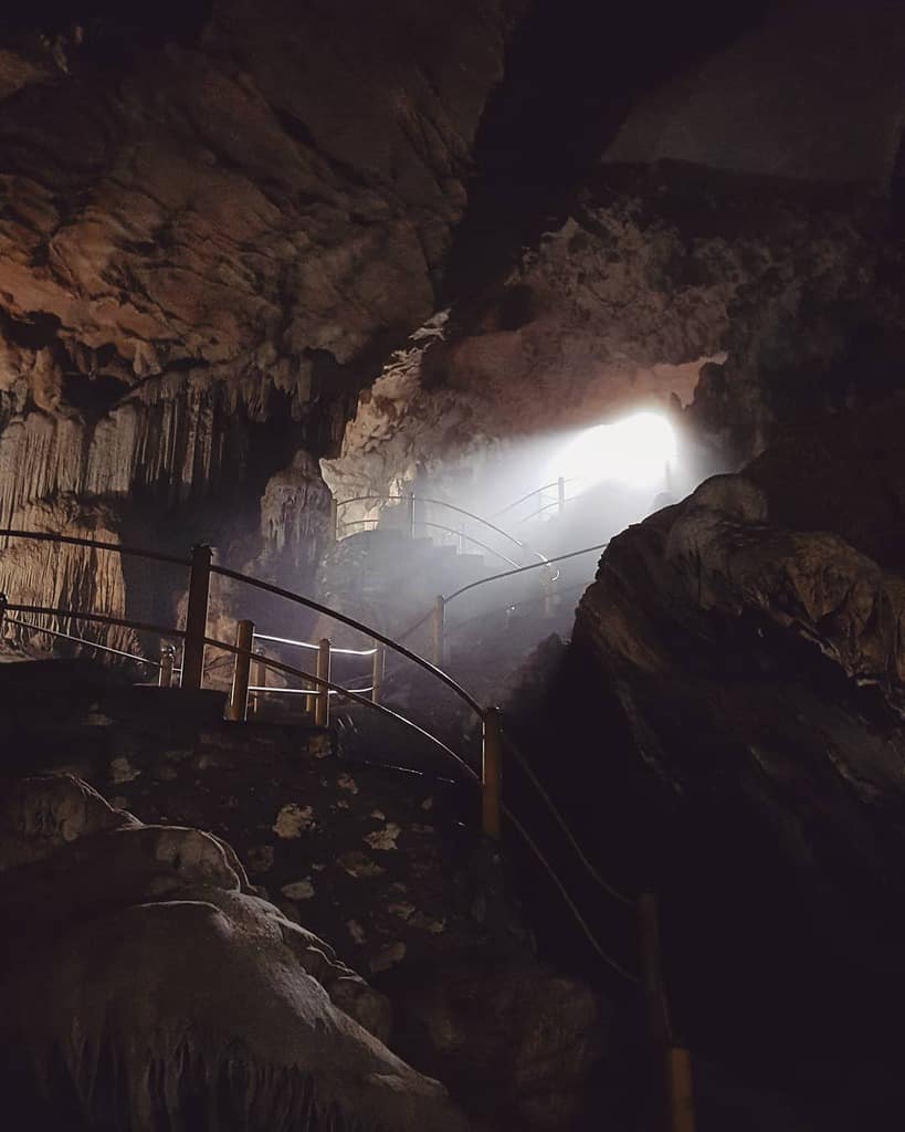 vườn quốc gia cúc phương-vườn quốc gia ba bể bắc kạn