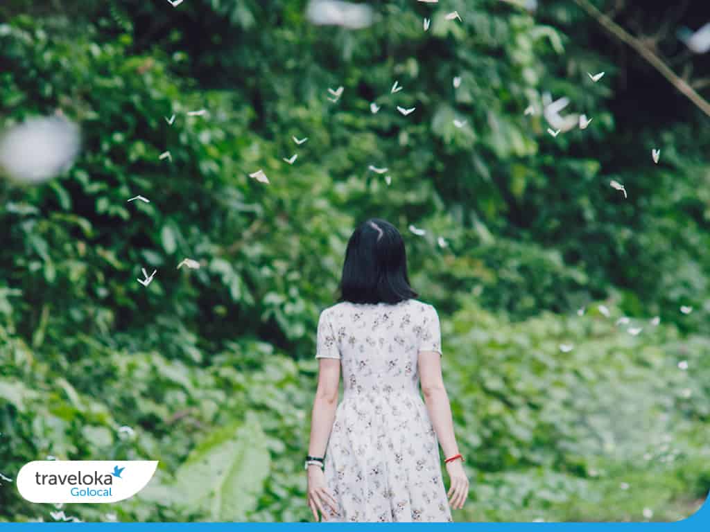 vườn quốc gia cúc phương