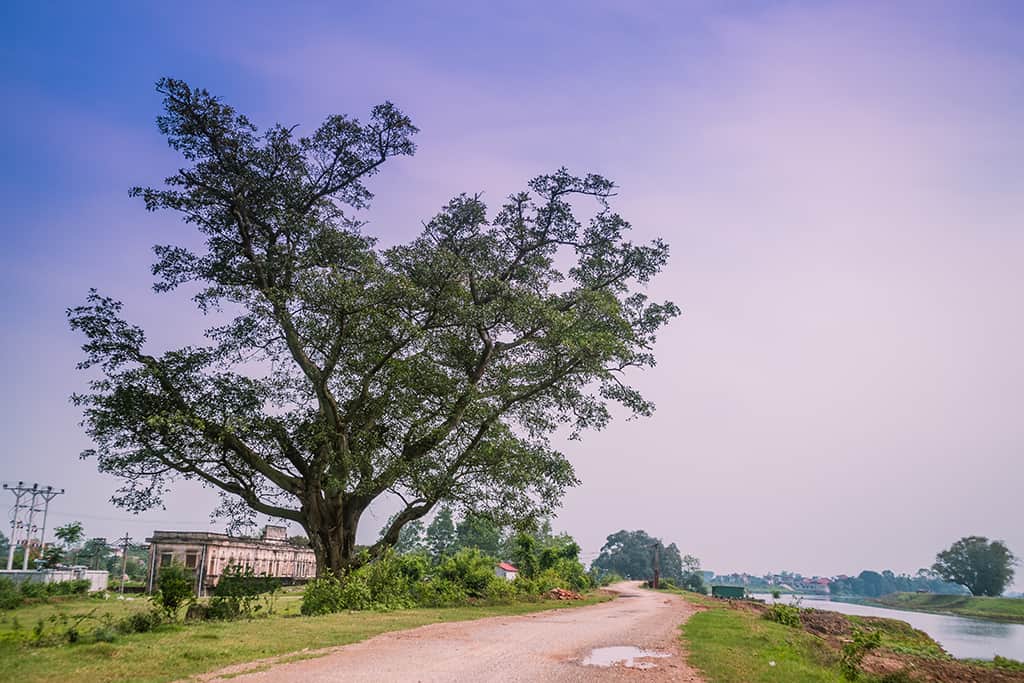 làng cựu hà nội