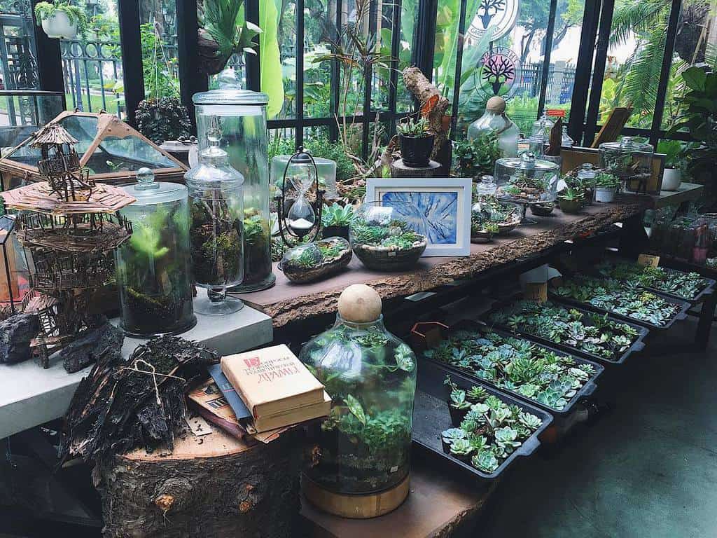 The Ylang – Gardenista - Cà phê đẹp Hà Nội