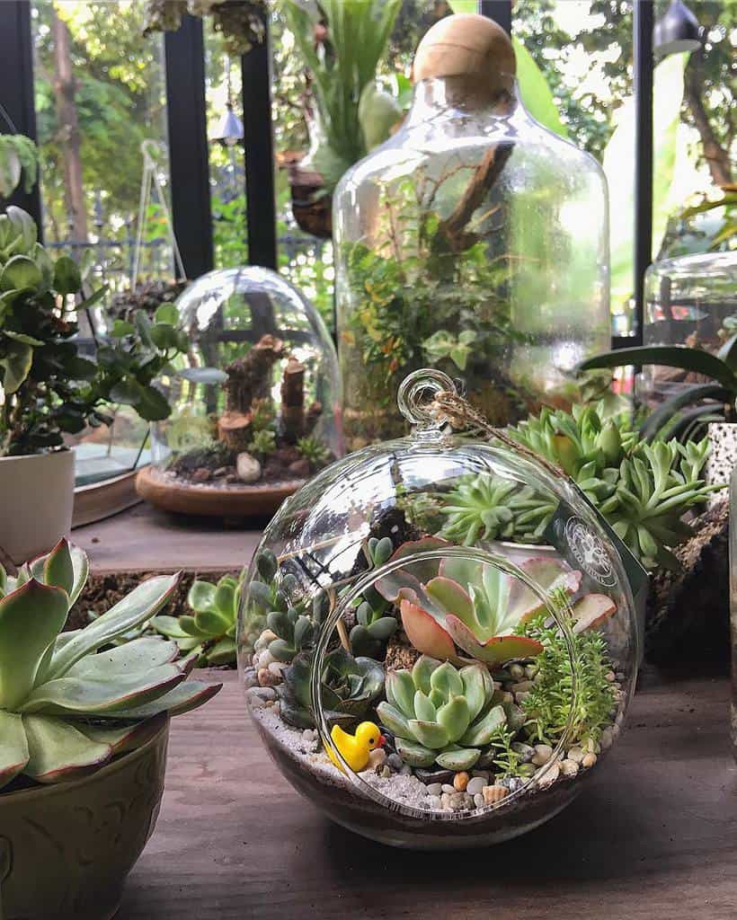 The Ylang – Gardenista - Cà phê đẹp Hà Nội