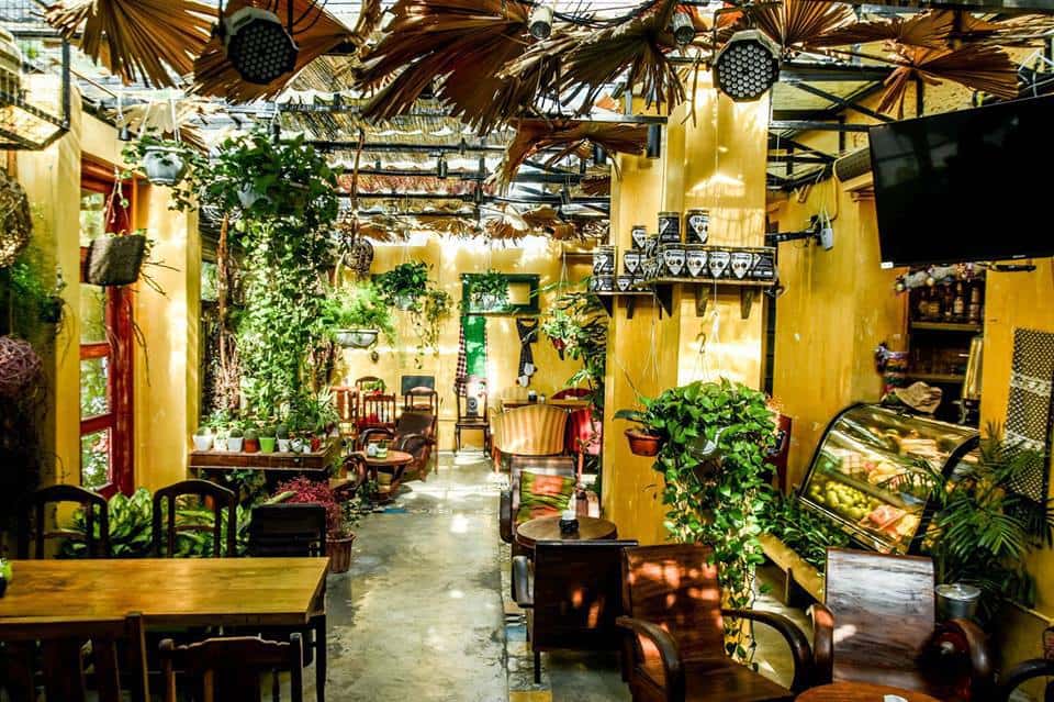 Ohi Tree & Coffee Quán cà phê đẹp Hà Nội
