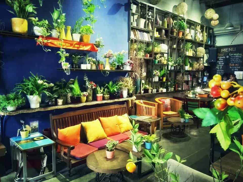 Ohi Tree & Coffee Quán cà phê đẹp Hà Nội