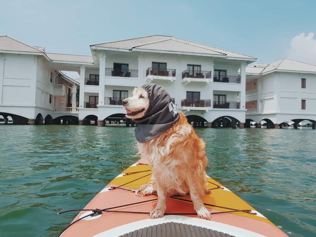 chơi gì ở hà nội-sup hồ tây